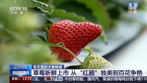 国产视频草莓,甜蜜滋味,映照时代光影